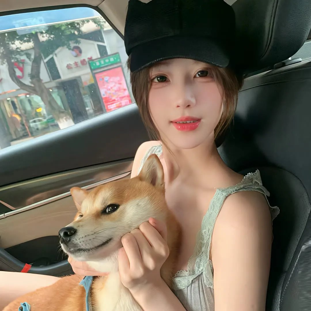 今晚不要让我们去打狗