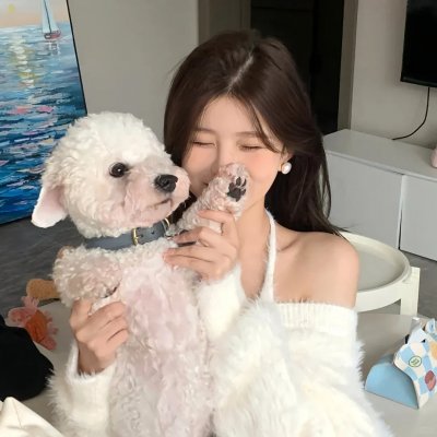 兔子暴力